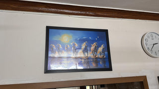 Customer photo of Fluid Strength: The Seven Horses of Water - Vastu Shastra