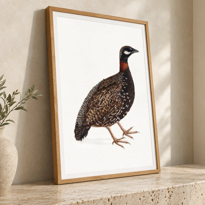 Black Partridge Bird (1800) Vintage Japanese Painting — Japanese Ukiyo-e japanese ukiyo-e print by SaamCrafts