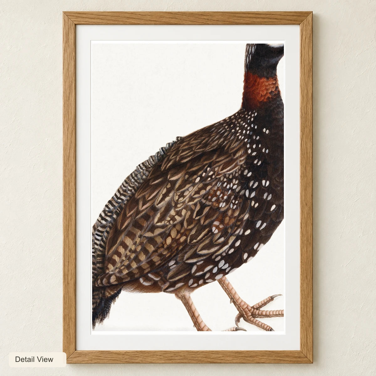 Black Partridge Bird (1800) Vintage Japanese Painting — Japanese Ukiyo-e artwork detail view