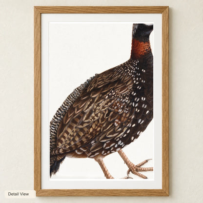 Black Partridge Bird (1800) Vintage Japanese Painting — Japanese Ukiyo-e artwork detail view