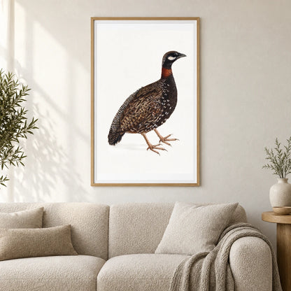 Black Partridge Bird (1800) Vintage Japanese Painting — Japanese Ukiyo-e shown in a styled interior
