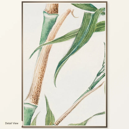 Japanese Bamboo During 1870–1880 By Megata Morikaga — Japanese Ukiyo-e artwork detail view