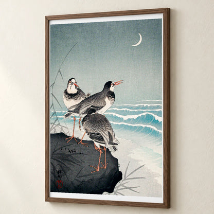 Snipes At The Shore (1926) By Ohara Koson — Japanese Ukiyo-e japanese ukiyo-e print by SaamCrafts