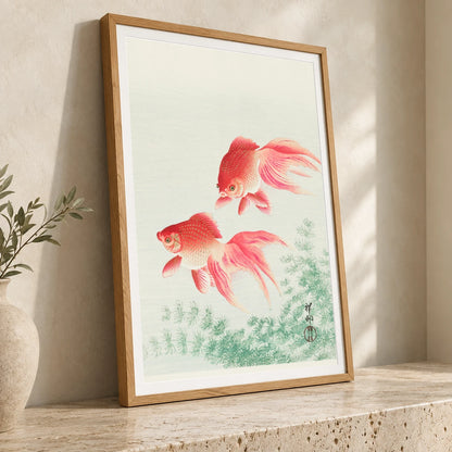Two Veil Goldfish (1926) By Ohara Koson — Japanese Ukiyo-e japanese ukiyo-e print by SaamCrafts
