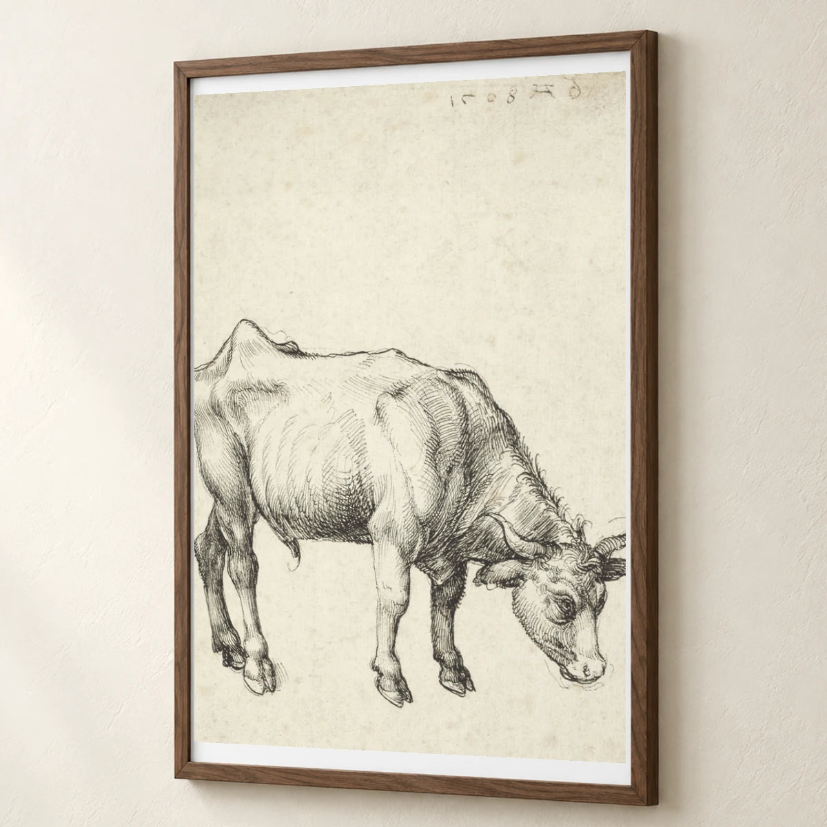 Young Bull (c. 1496) — Modern & Contemporary modern & contemporary art print by SaamCrafts