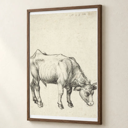 Young Bull (c. 1496) — Modern & Contemporary modern & contemporary art print by SaamCrafts