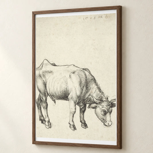 Young Bull (c. 1496) — Modern & Contemporary modern & contemporary art print by SaamCrafts