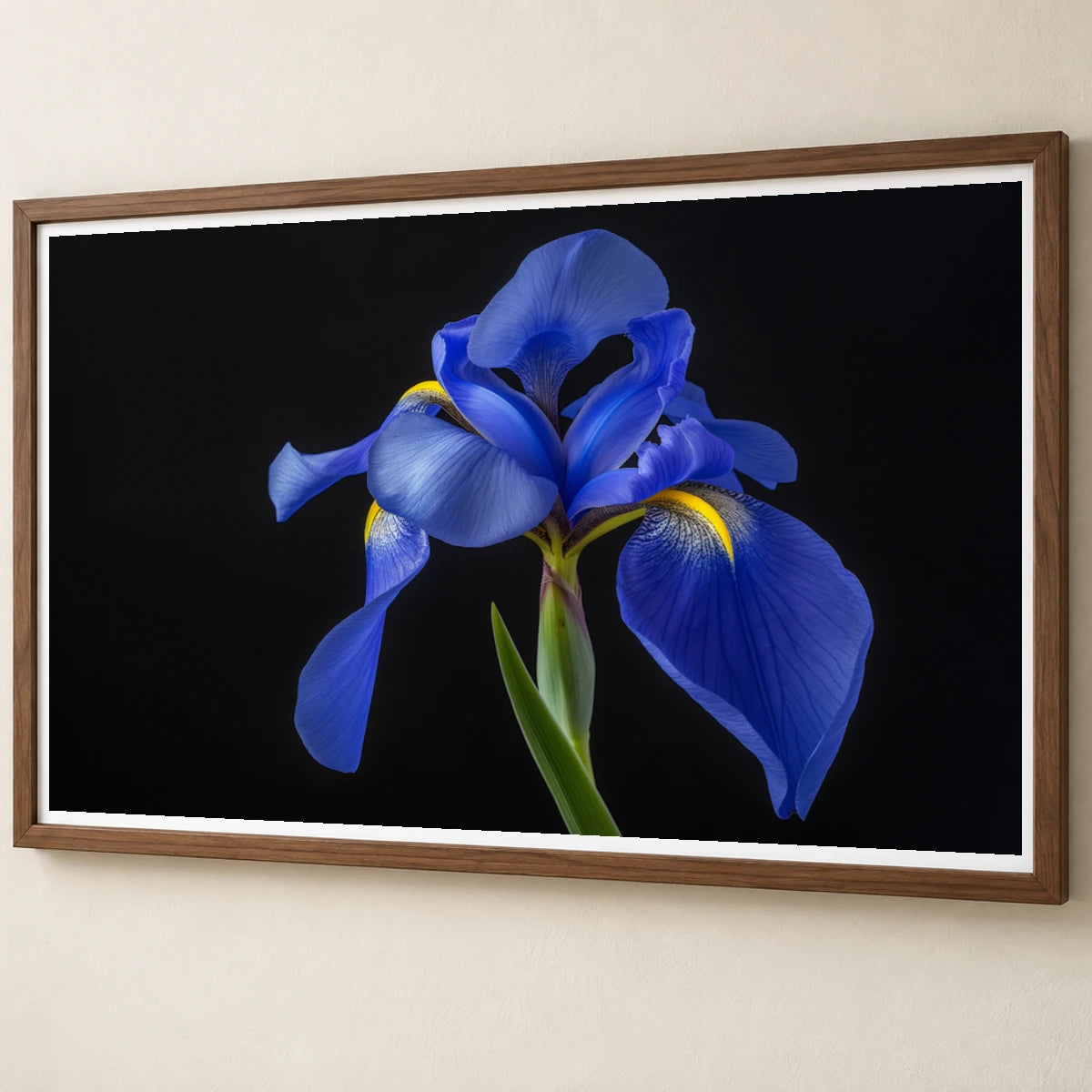 Flower Print CXXIX — Flower & Botanical Prints flower & botanical prints print by SaamCrafts