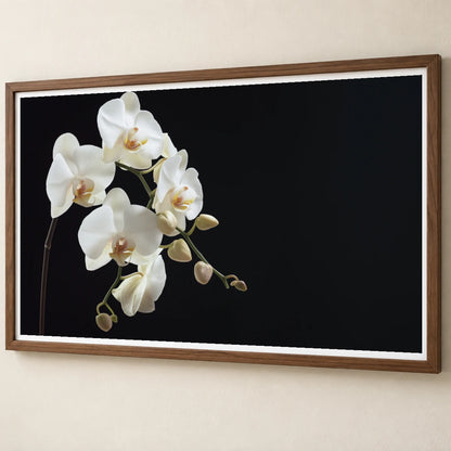 Flower Print CLXXVI — Flower & Botanical Prints flower & botanical prints print by SaamCrafts