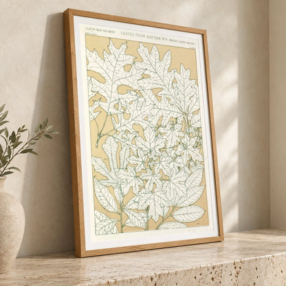Leaves From Nature No.4 — Modern & Contemporary modern & contemporary art print by SaamCrafts